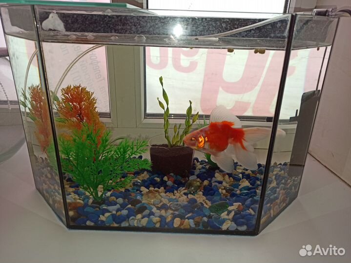 Аквариум 28 литров