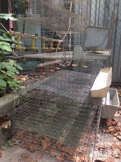 Клетки для перепелов бу