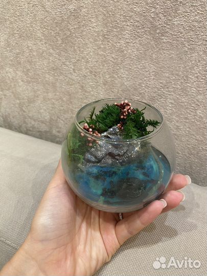 Флорариум шар