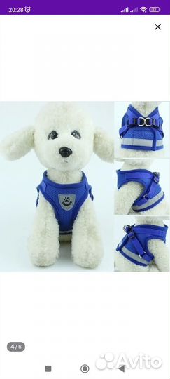 Шлейка для маленькой собаки