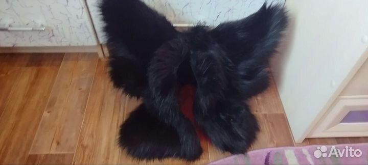 Раптор партиал