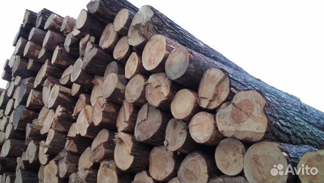 отходы пилорамы йошкар-ола. производство мебели цех. набережная брюгге в городе йошкар-ола. распил йошкар ола. йошкар ола йошкар ола йошкар ола.