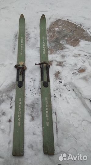 Лыжи Вологда