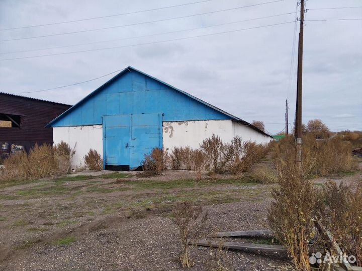 Сдается в аренду животноводческий комплекс