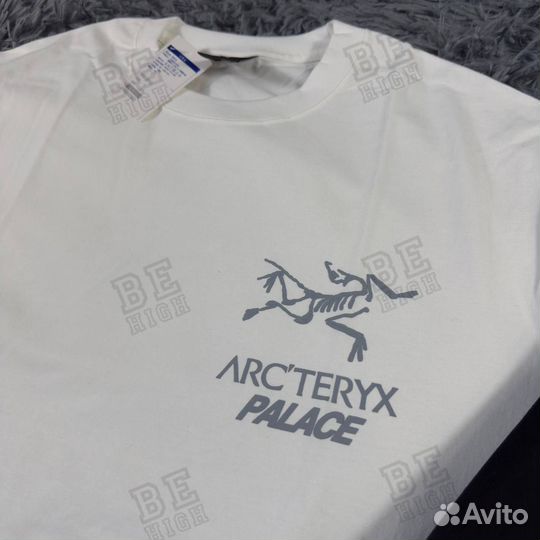 Arcteryx x palace футболка big logo