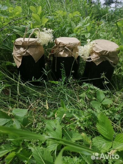 Луговой Майский Мед 2024 год