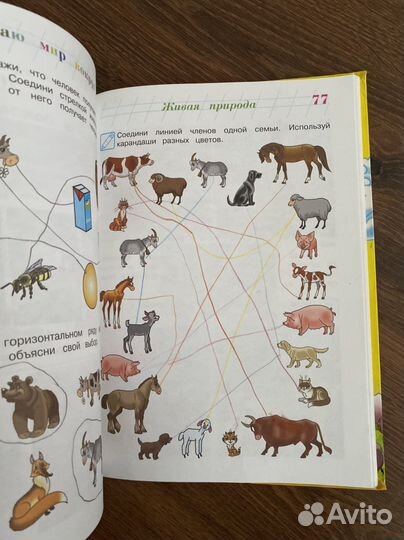 Изучаю мир вокруг 6-7 лет Ломоносовская школа