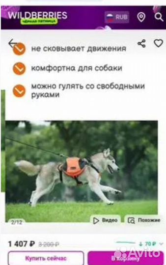 Снаряжение для дрессировки собак