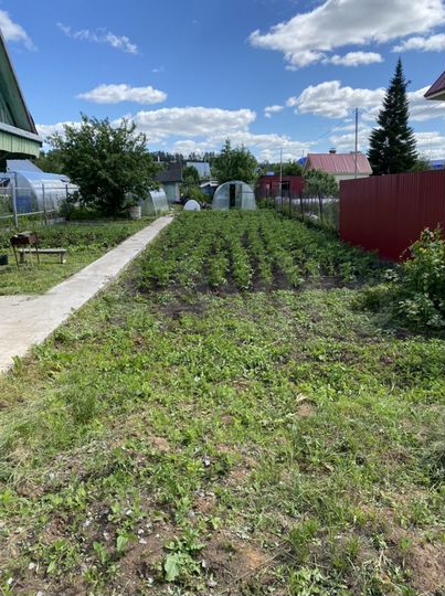 Дача 20 м² на участке 5,2 сот.