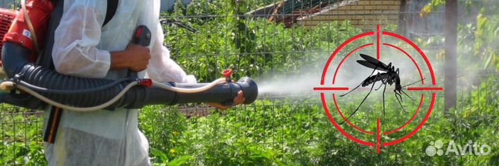 Обработка участка от насекомых