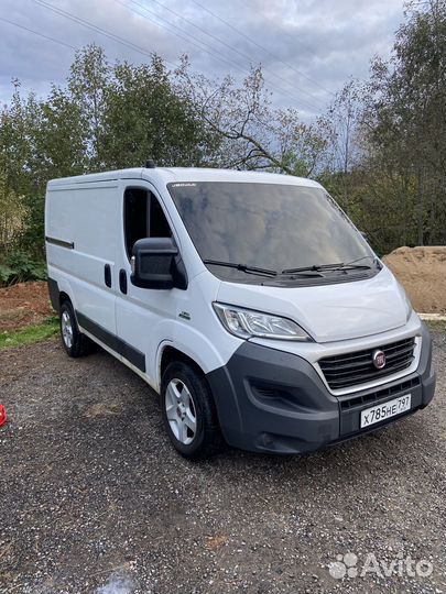 FIAT Ducato цельнометаллический, 2016
