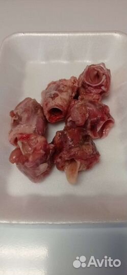 Мясо и субпродукты для собак