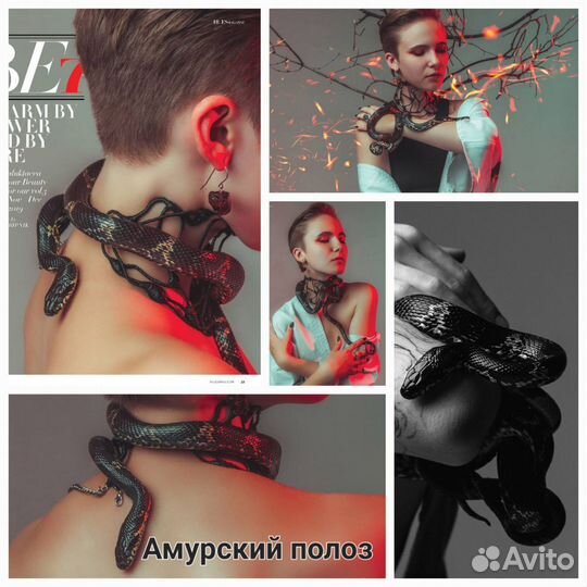 Аренда змей