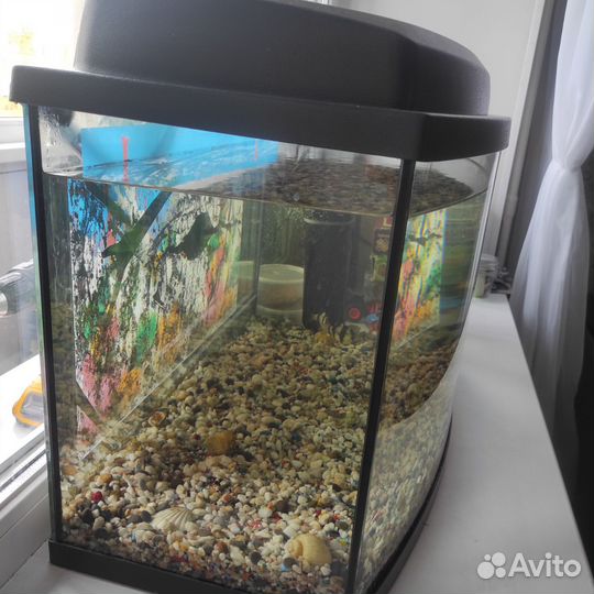 Аквариум