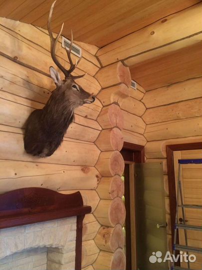 Каминная печь