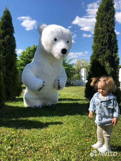 Белый мишка поздравление