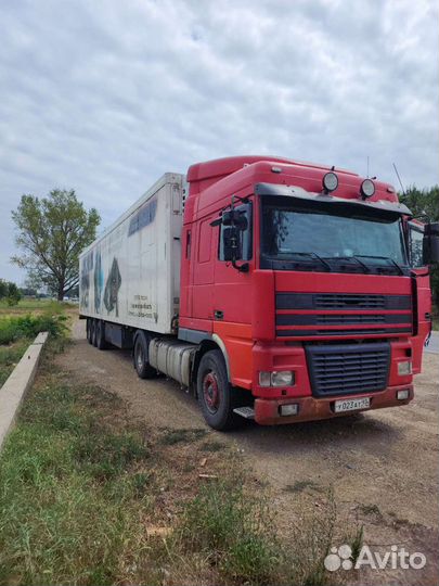 DAF XF 95.530 с полуприцепом, 2000