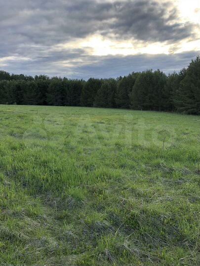 Участок 16,1 сот. (ИЖС)