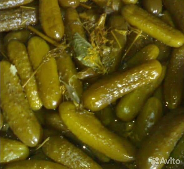 Домашние заготовки