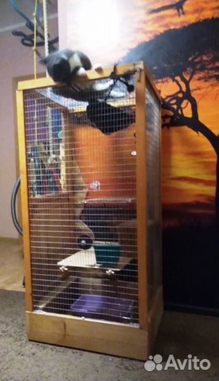 Клетка для грызунов/попугаев