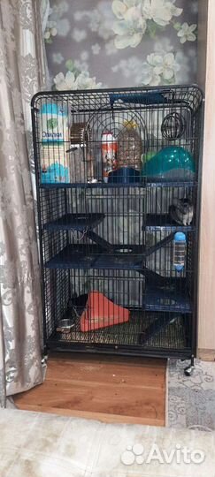 Клетка витрина для шиншиллы