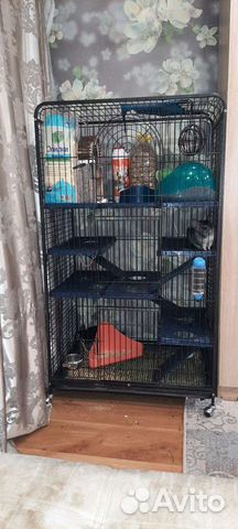 Клетка витрина для шиншиллы
