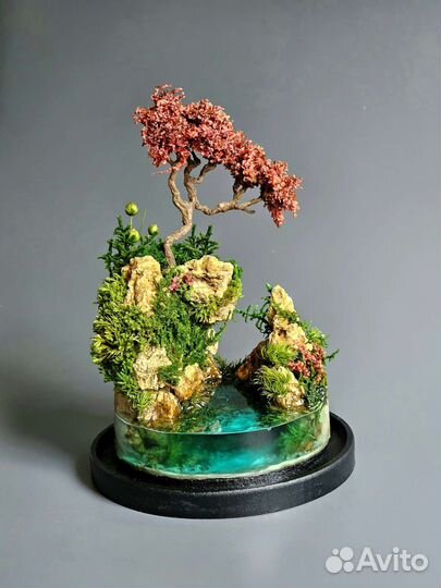 Моссариум, флорариум