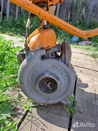 Пила Дружба