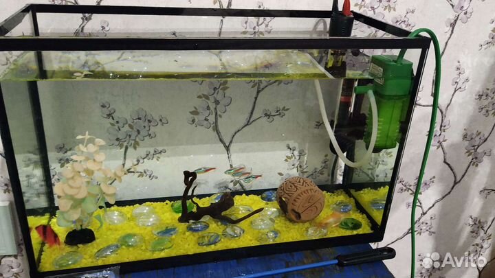 Аквариум 20 литров