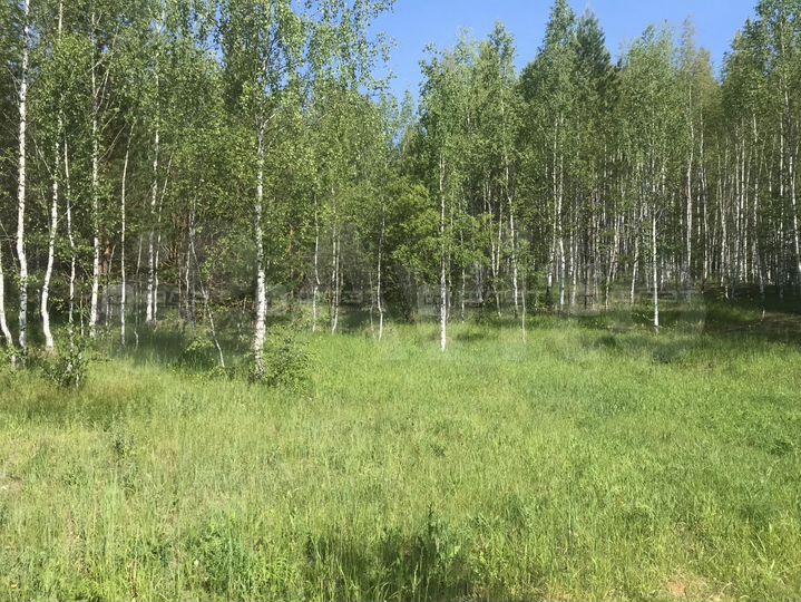 Участок 7,5 сот. (ИЖС)