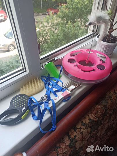 Игрушки, расчески и шлейка с двумя поводками