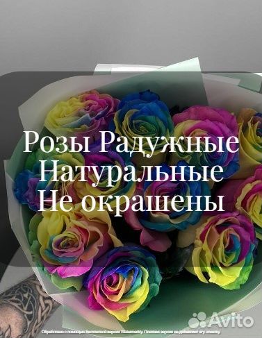 Радуга Роза Москва