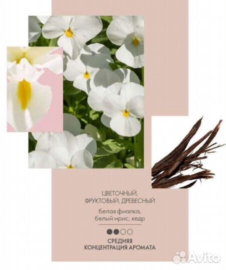 Туалетная вода Eclat Amour (Экла Амур)