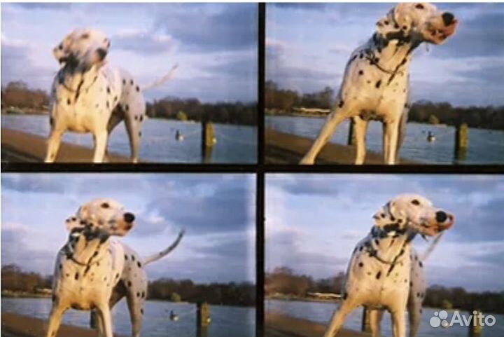 Плёночный Фотоаппарат Actionsampler Chrome с четыр