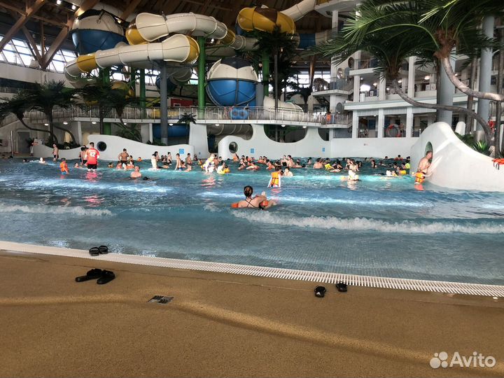 Тур выходного дня в Новосибирск