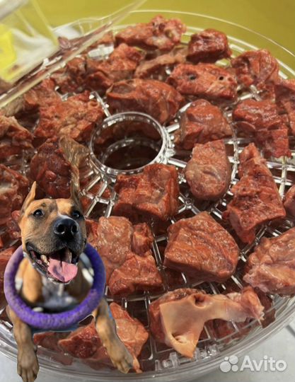 Лакомства для собак