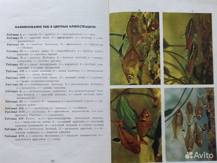 Книга про аквариумы и рыбоводству