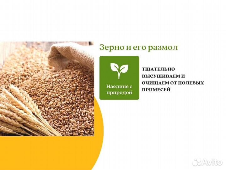 Пшеница Размол (кг)