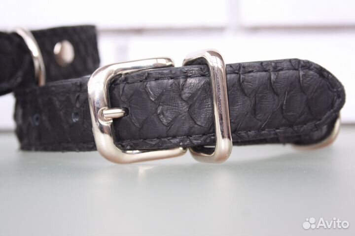 Ошейник из кожи питона для собак средних пород