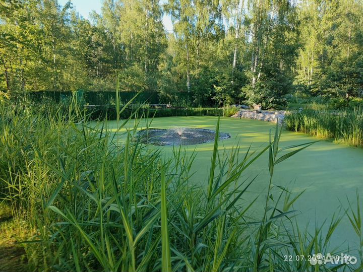 Мульча оптом и в розницу