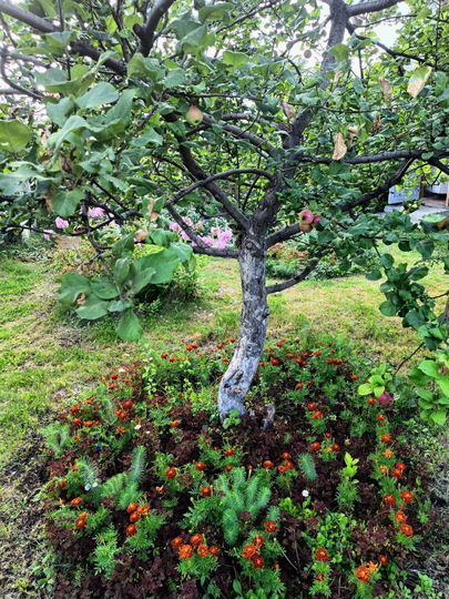 Дом 35 м² на участке 6 сот.