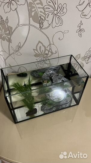 Аквариум с рыбками