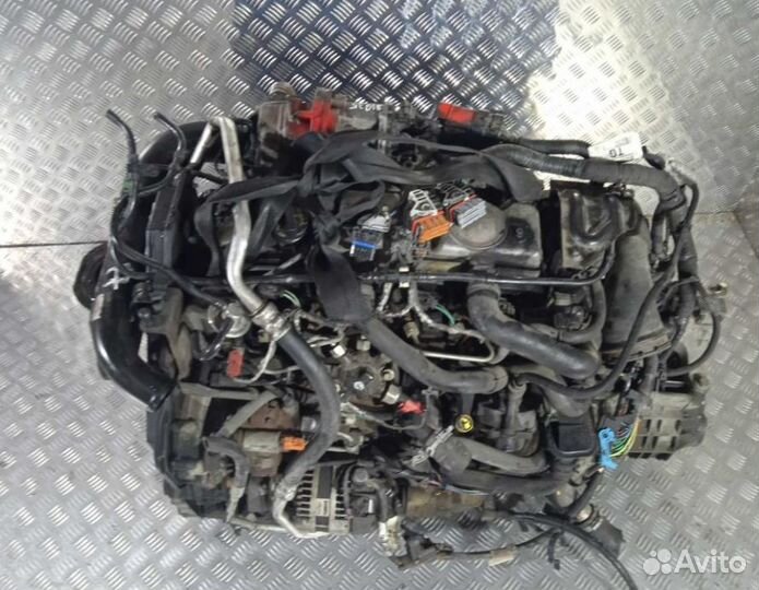 Двигатель Ford Focus+МКПП