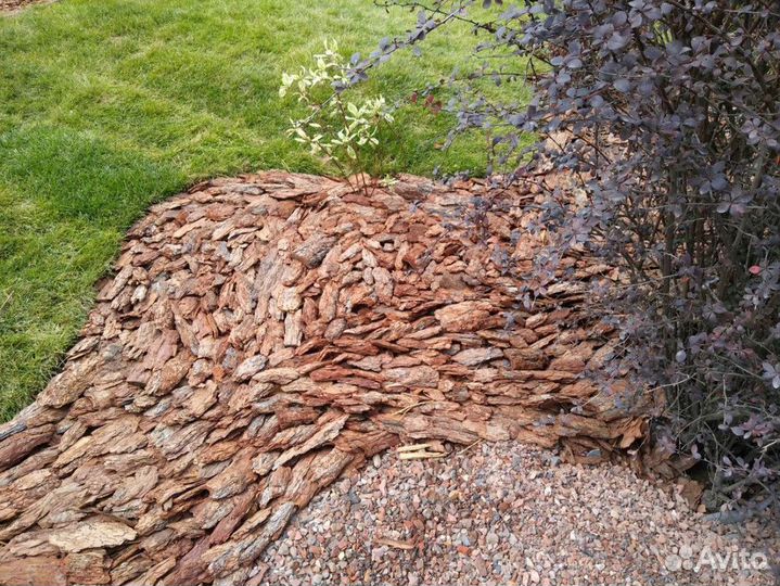 Мульча из коры сосны для вашего сада