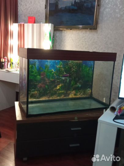 Аквариум