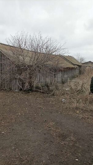 Дом 28 м² на участке 10 сот.