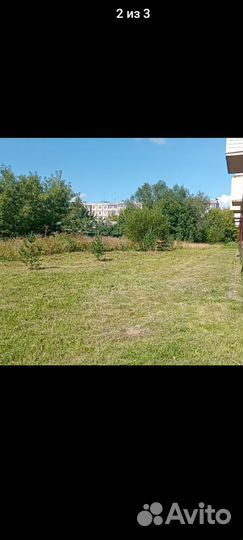 Скосить траву