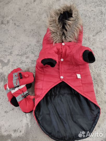 Одежда для собак xs