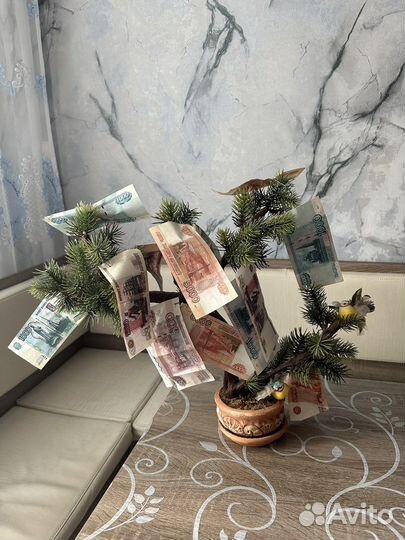 Денежное дерево декоративное