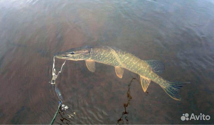 Кукан С 7-Ю карабинами 